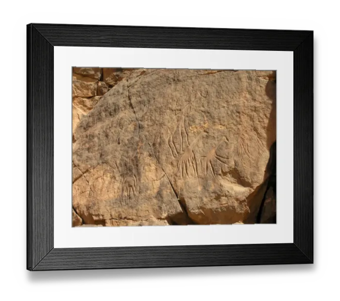 Framed Print : Giraffes carved in the sandstone Framed Print : Giraffes carved in the sandstone