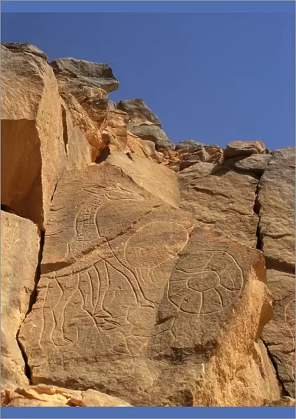 Giraffe Rock Carving