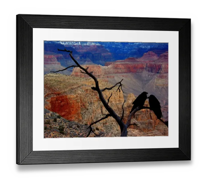 Framed Print : Grand Perch Framed Print : Grand Perch