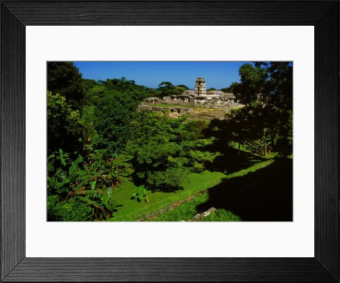 Framed Print : Palenuqe, Chiapas, Mexico Framed Print : Palenuqe, Chiapas, Mexico