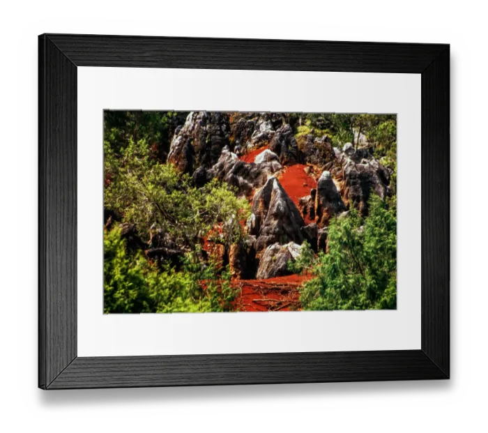 Framed Print : El MadroAno, (fossils in the soil) Framed Print : El MadroAno, (fossils in the soil)