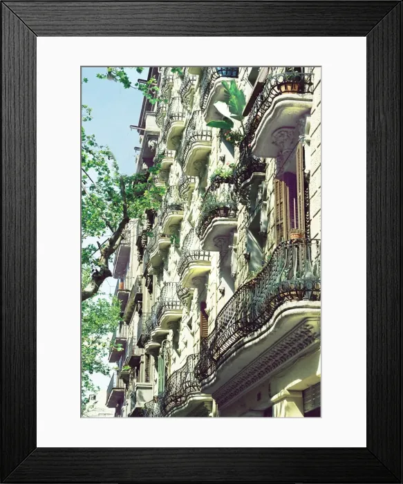 Framed Print : Gaudi house Framed Print : Gaudi house