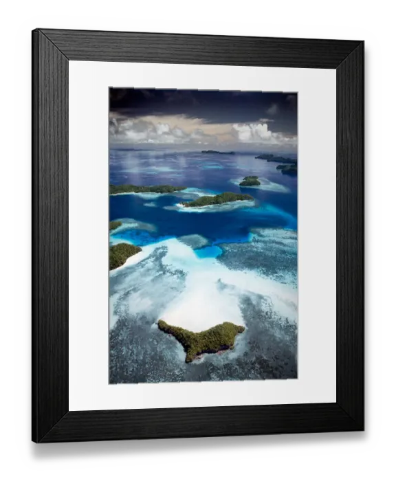 Framed Print : Jellyfish Lake Framed Print : Jellyfish Lake