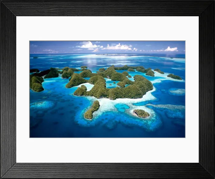 Framed Print : Jellyfish lake Framed Print : Jellyfish lake