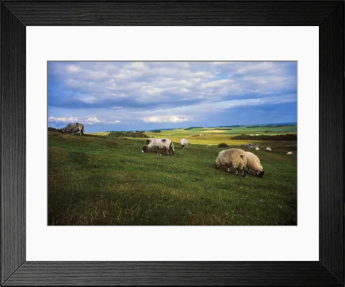 Framed Print : Hadrians Wall Framed Print : Hadrians Wall