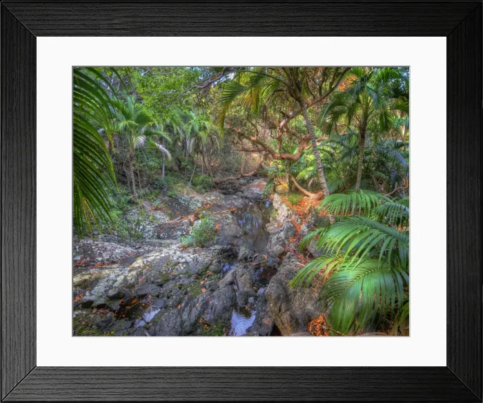 Framed Print : Lord Howe Island, majestic and scenically wonderful, is part of New South Wales, Australia Framed Print : Lord Howe Island, majestic and scenically wonderful, is part of New South Wales, Australia