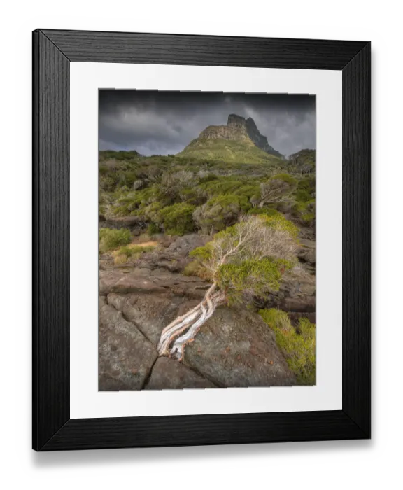 Framed Print : Scenically beautiful and a world heritage designated location, Lord Howe Island lies between the South Pacific ocean and the Tasman sea off the coast of New South Wales, Australia Framed Print : Scenically beautiful and a world heritage designated location, Lord Howe Island lies between the South Pacific ocean and the Tasman sea off the coast of New South Wales, Australia
