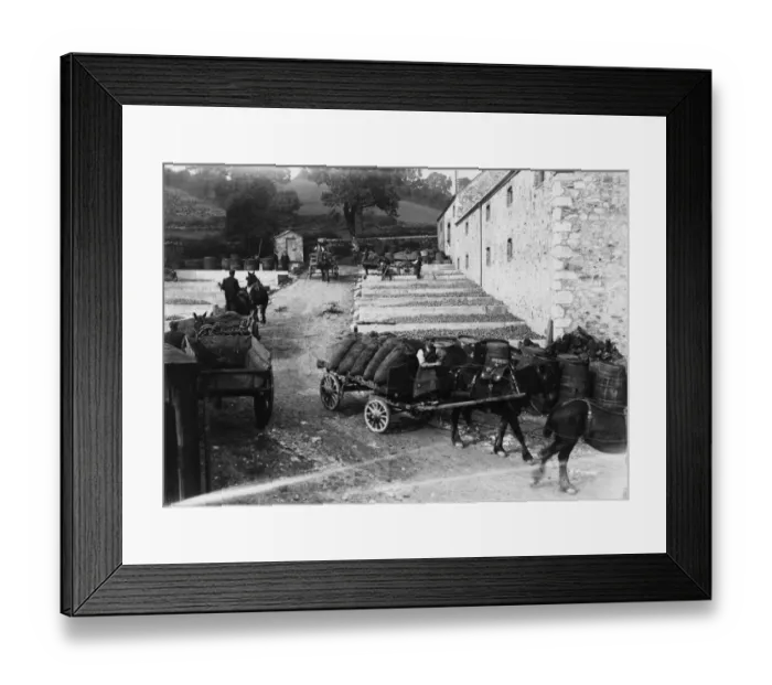 Framed Print : Cider Works Framed Print : Cider Works