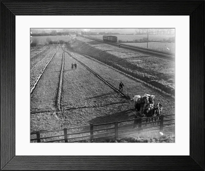 Framed Print : Using Wasteland Framed Print : Using Wasteland