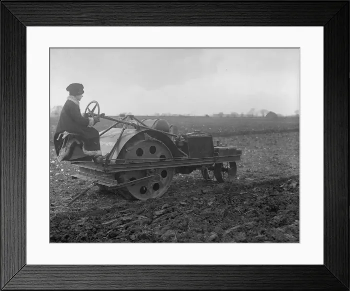 Framed Print : Woman Driver Framed Print : Woman Driver