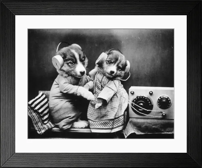 Framed Print : Revelling Pups Framed Print : Revelling Pups