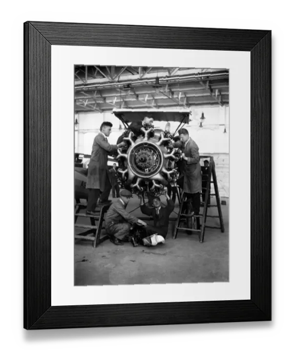 Framed Print : Bulldog Jupiter