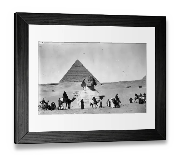 Framed Print : Camel Train Framed Print : Camel Train