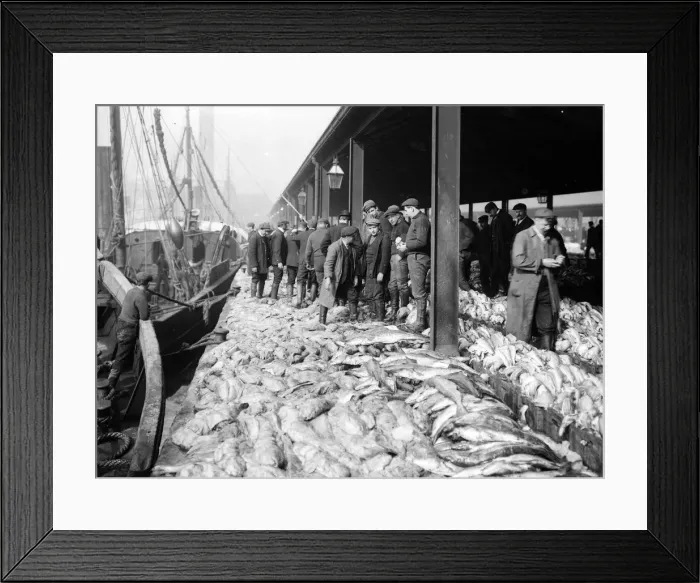 Framed Print : Fish Auction