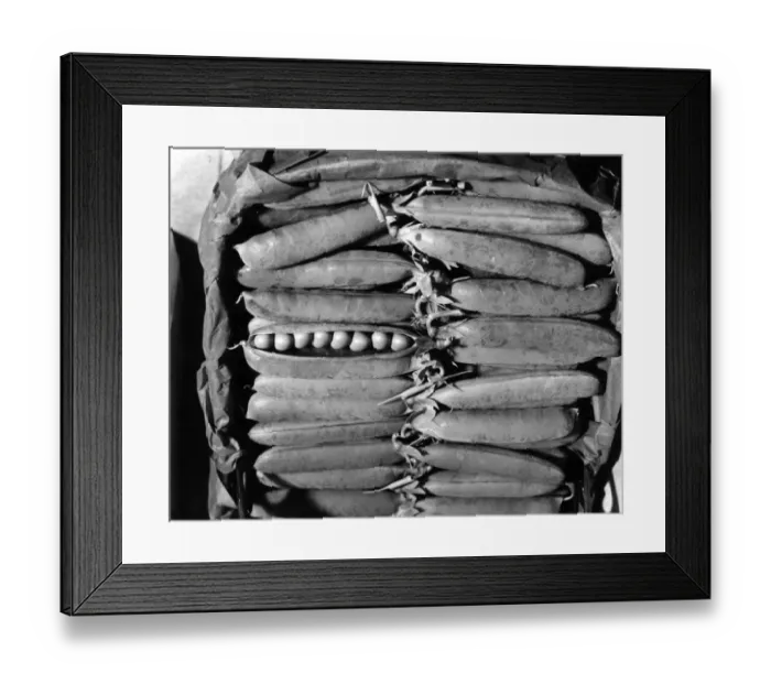 Framed Print : Winning Peas Framed Print : Winning Peas