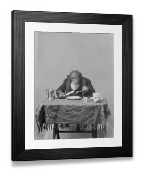Framed Print : Dining Ape