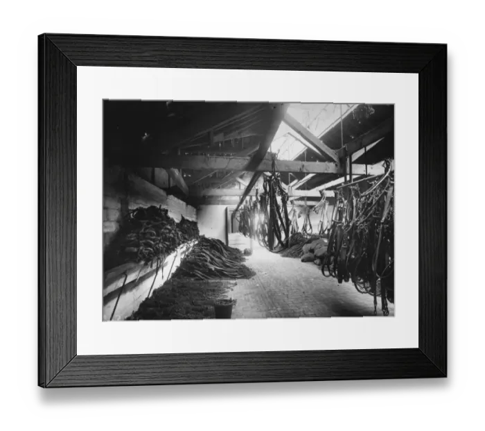 Framed Print : Disused Harnesses Framed Print : Disused Harnesses