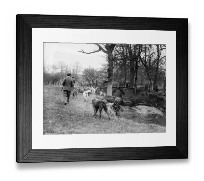 Framed Print : Otter Hounds Meet Framed Print : Otter Hounds Meet