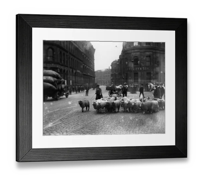 Framed Print : Sheep Street Framed Print : Sheep Street