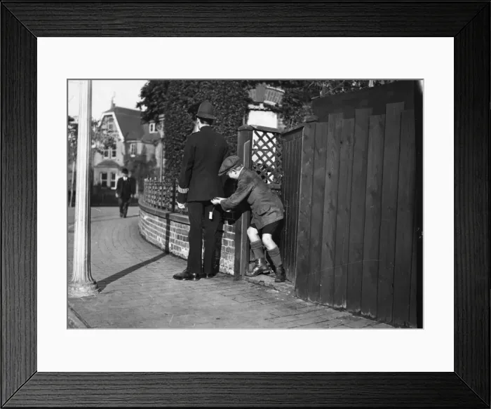 Framed Print : Young Trickster Framed Print : Young Trickster