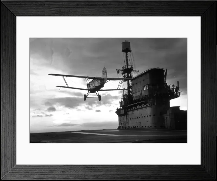 Framed Print : Sea Take Off Framed Print : Sea Take Off