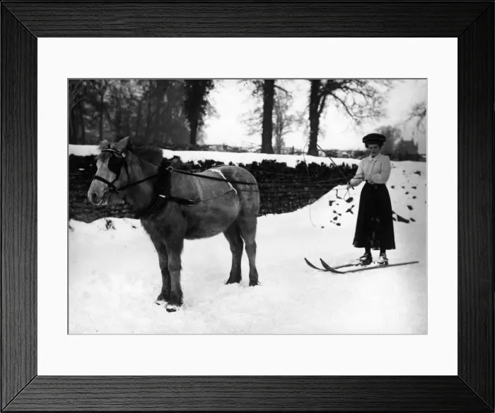 Framed Print : Horse Drawn Skier Framed Print : Horse Drawn Skier