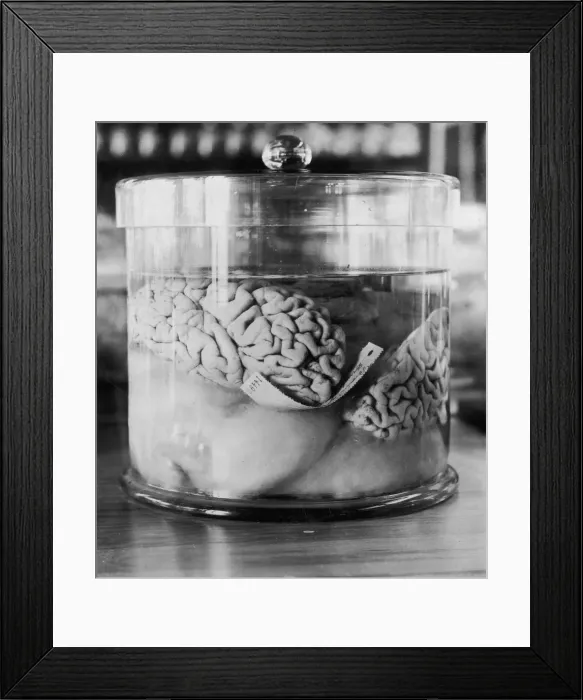 Framed Print : Burglars Brain Framed Print : Burglars Brain
