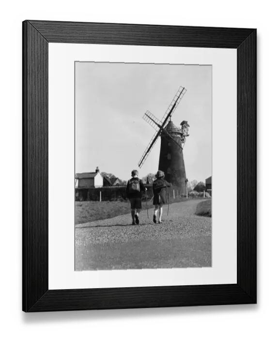 Framed Print : Out Walking Framed Print : Out Walking