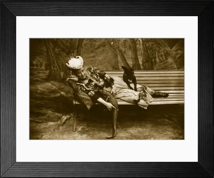 Framed Print : Fashion Pet Framed Print : Fashion Pet