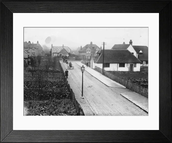 Framed Print : Garden Suburb Framed Print : Garden Suburb