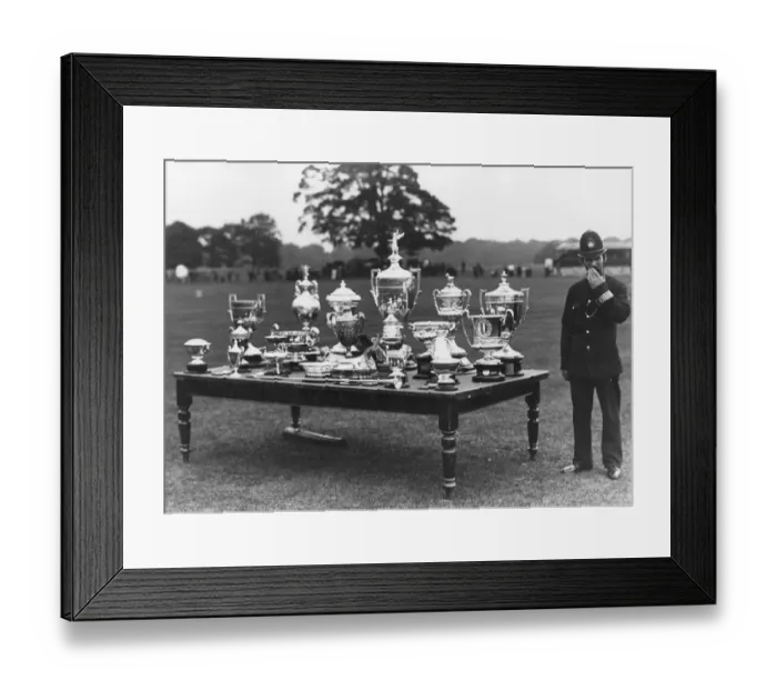Framed Print : Horse Cups Framed Print : Horse Cups