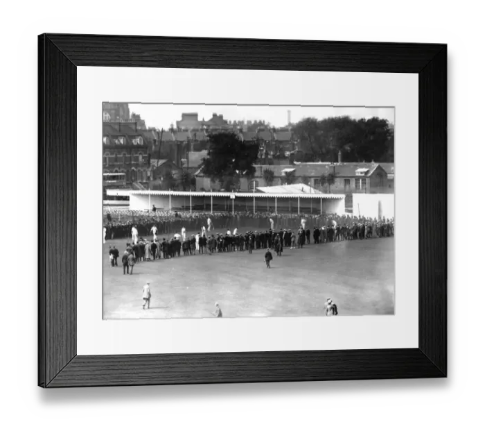 Framed Print : Test Cricket Framed Print : Test Cricket