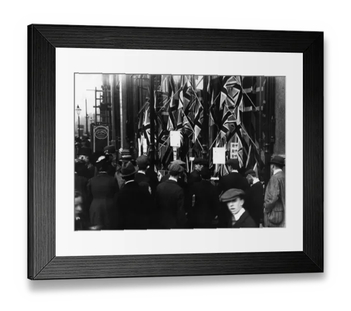 Framed Print : Anti-Home Rule Framed Print : Anti-Home Rule