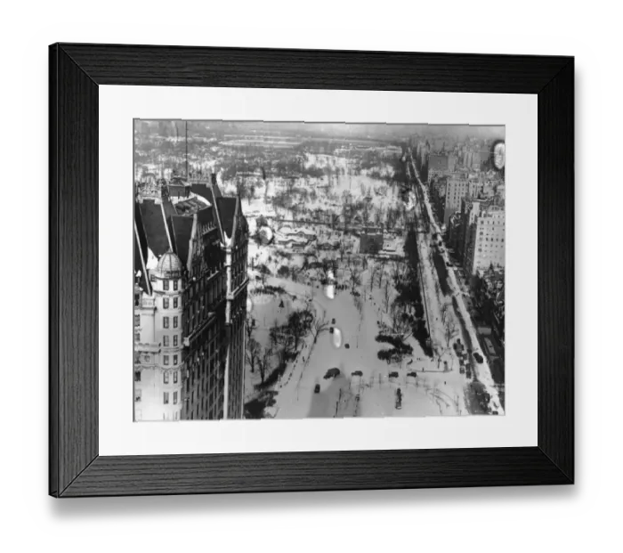 Framed Print : Snowy Central Park Framed Print : Snowy Central Park