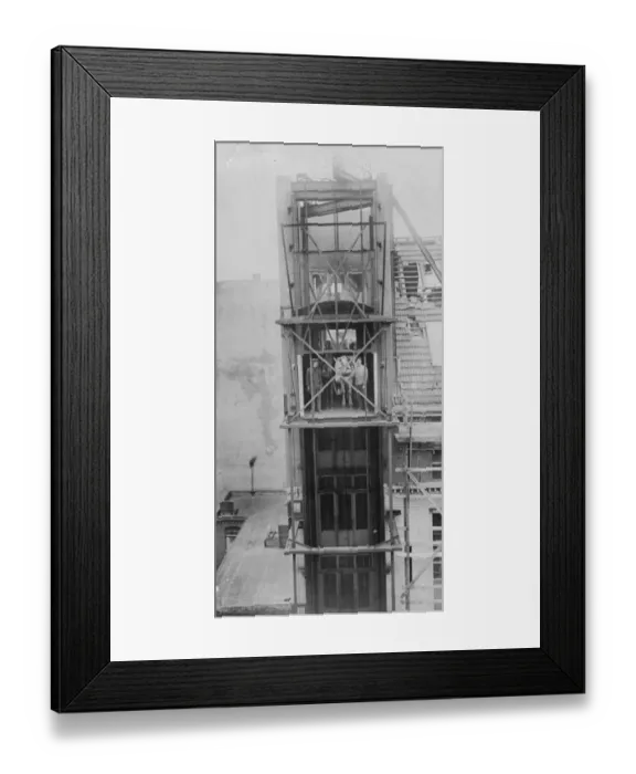 Framed Print : Horse Lift Framed Print : Horse Lift