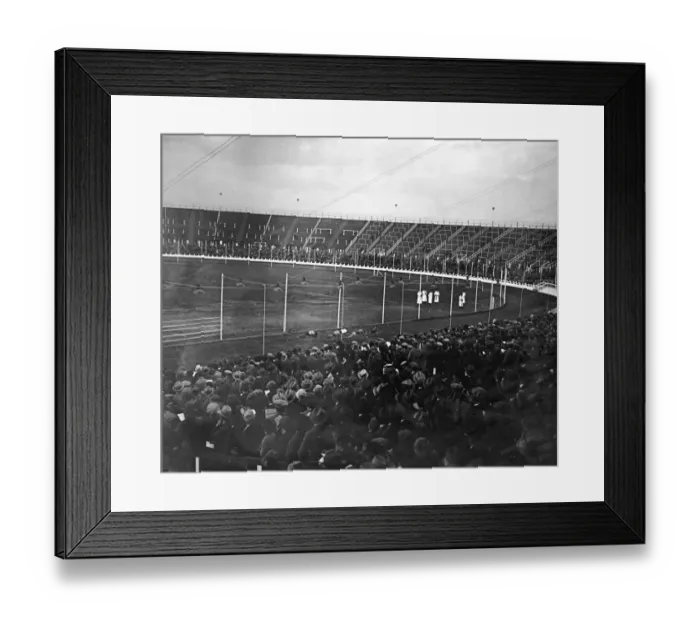 Framed Print : White City Dogs Framed Print : White City Dogs