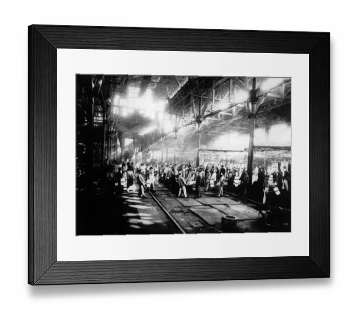 Framed Print : Armament Plant Framed Print : Armament Plant