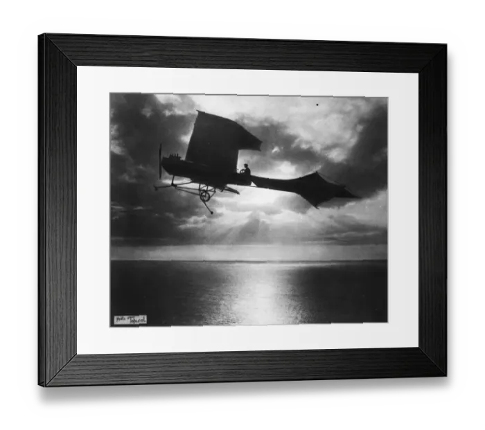 Framed Print : Early Flight Framed Print : Early Flight