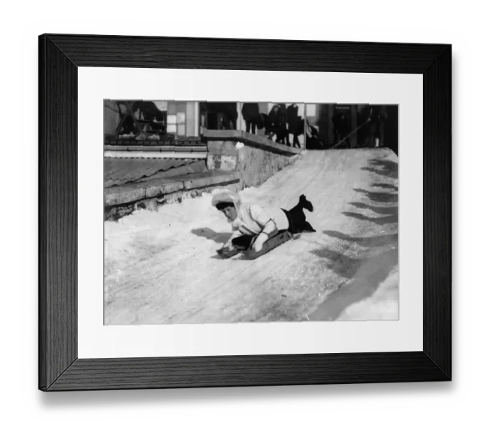 Framed Print : Bobsleigh Ride Framed Print : Bobsleigh Ride