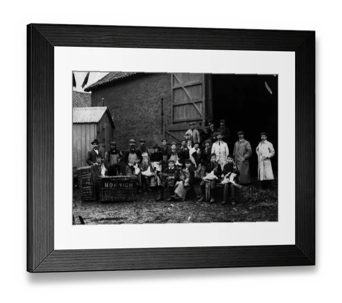 Framed Print : Turkey Farm Framed Print : Turkey Farm