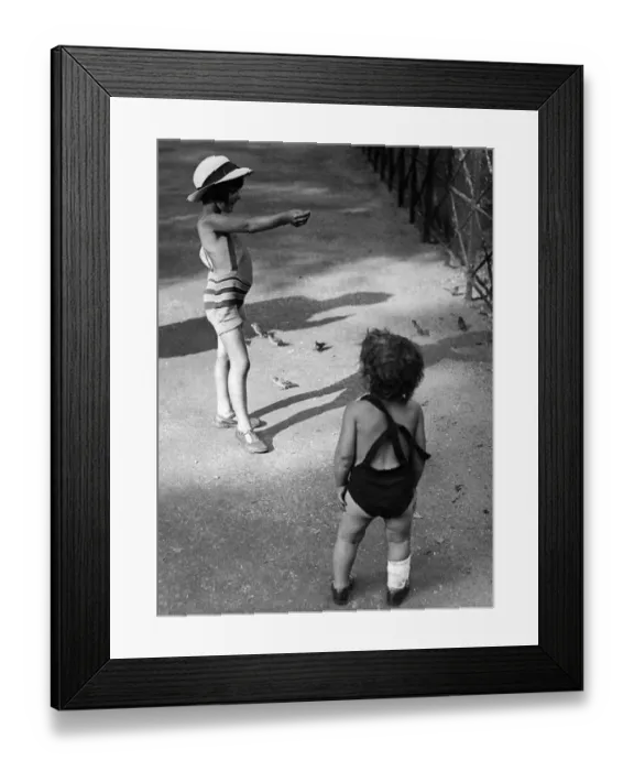 Framed Print : Feeding Time Framed Print : Feeding Time