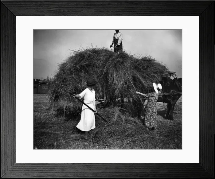 Framed Print : Hay Making Framed Print : Hay Making