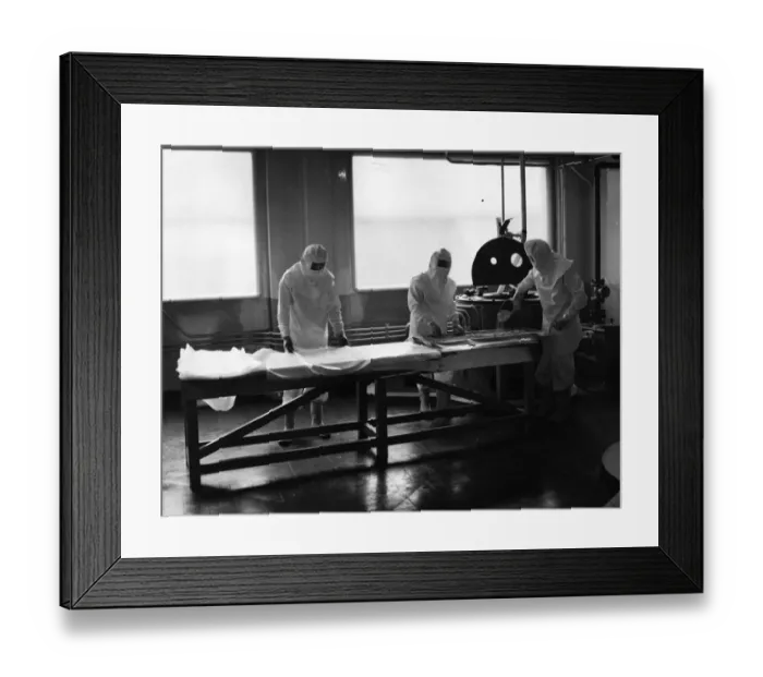 Framed Print : Antibiotic Plant Framed Print : Antibiotic Plant