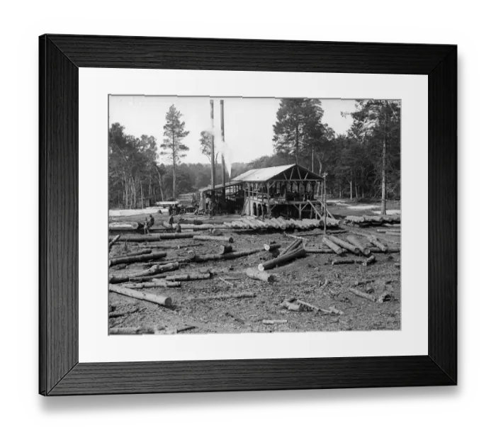 Framed Print : Saw Mill. July 1916: Steam saw mills at Virginia Water Framed Print : Saw Mill. July 1916: Steam saw mills at Virginia Water