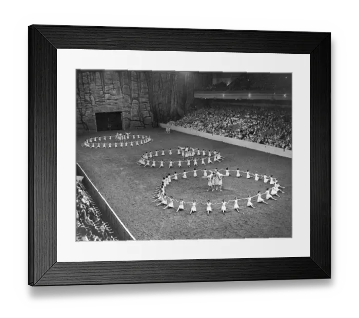 Framed Print : Royal Tournament Framed Print : Royal Tournament