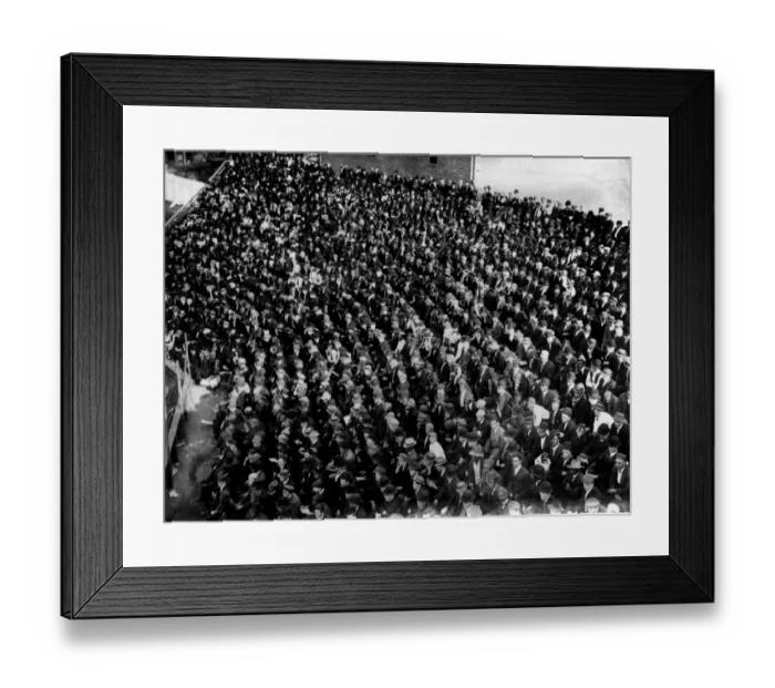 Framed Print : Baseball Crowd Framed Print : Baseball Crowd