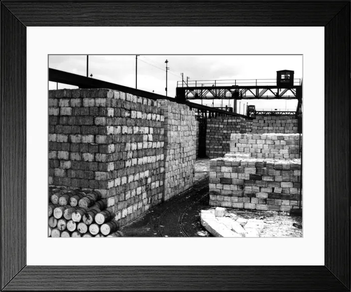 Framed Print : Wood For Paper Framed Print : Wood For Paper