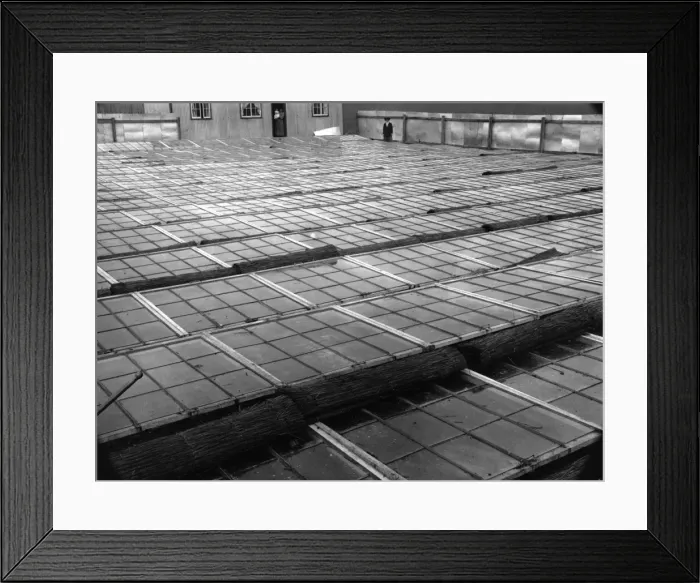 Framed Print : Glasshouses Framed Print : Glasshouses