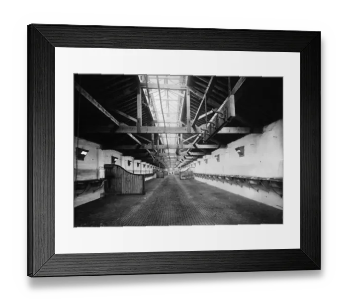 Framed Print : Horse Stalls Framed Print : Horse Stalls