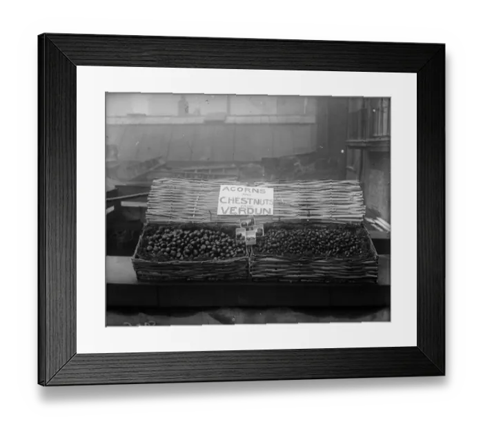 Framed Print : Verdun Nuts Framed Print : Verdun Nuts